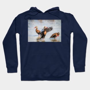 Black-bellied Whistling-Duck Trio Hoodie